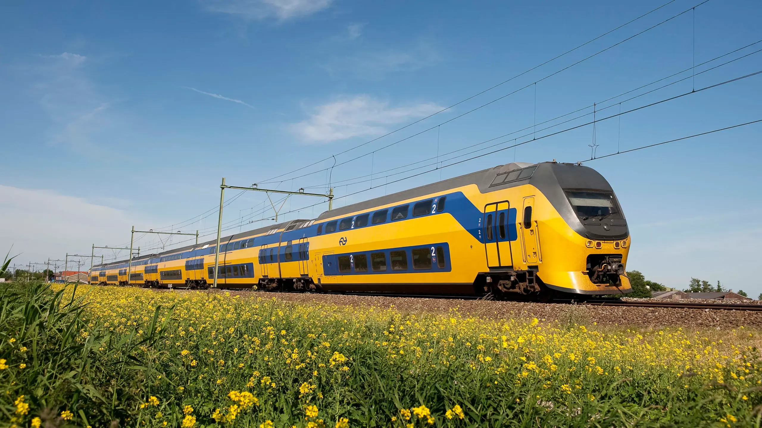 NS